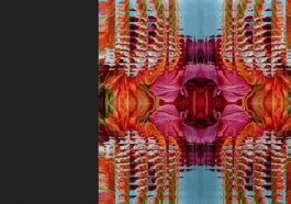 Betty Mü: Visual Drift