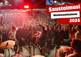Saustoimusi