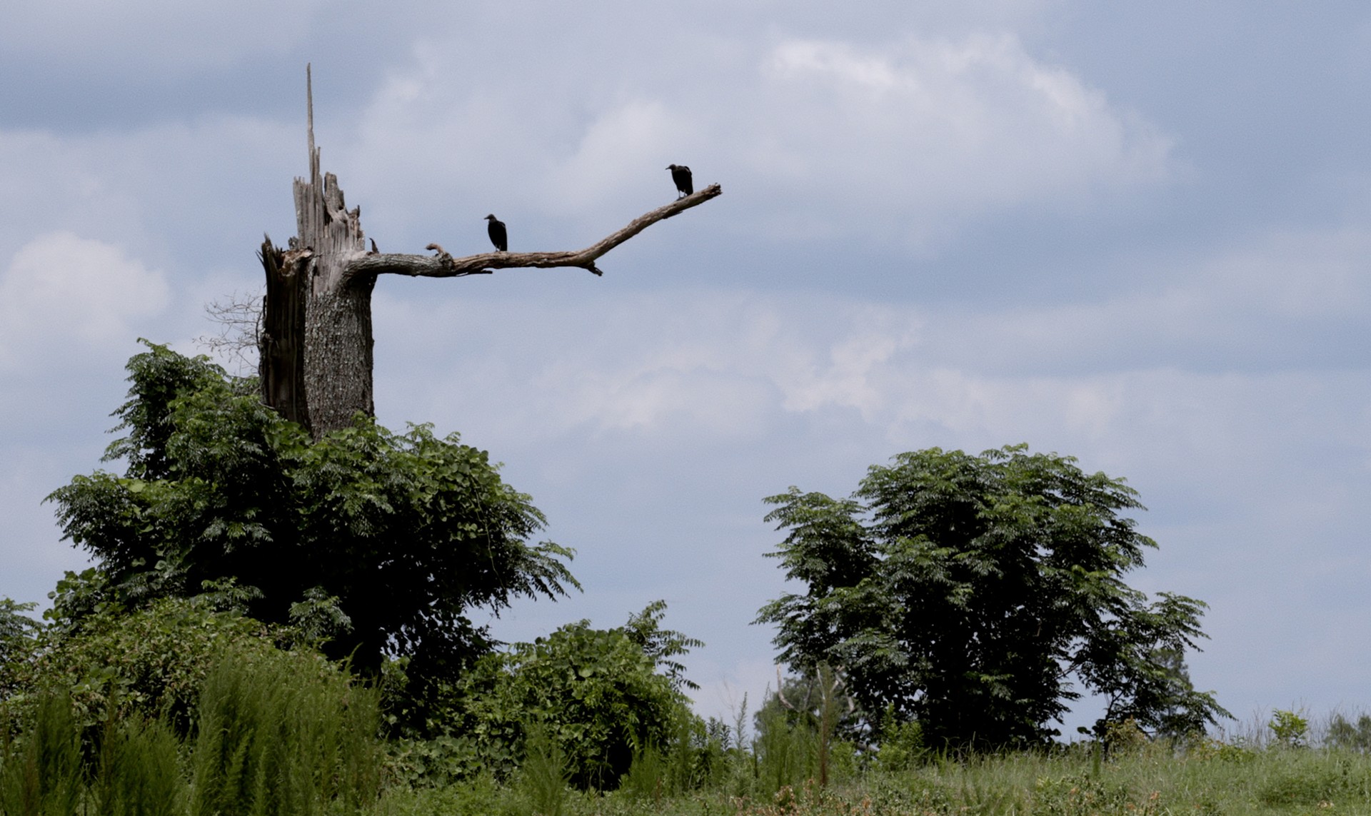 Bilder aus An Hour from the Middle of Nowhere