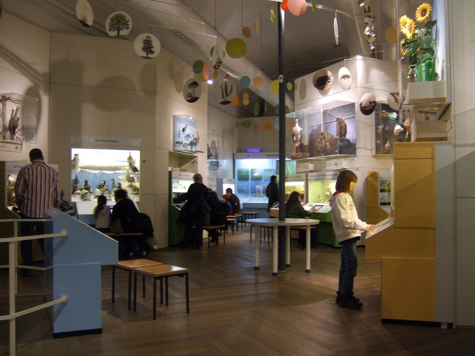 Kinder an Mitmachstationen der Spielerischen Naturkunde im Museum Mensch und Natur