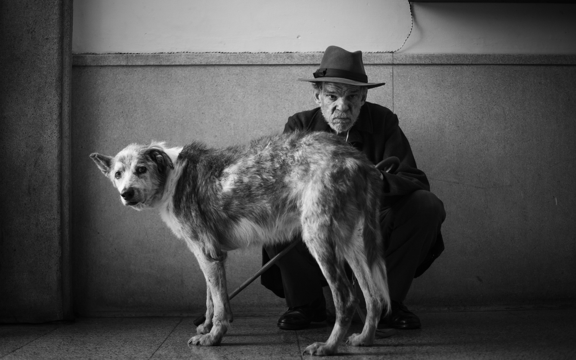 Bilder aus Der Fremde