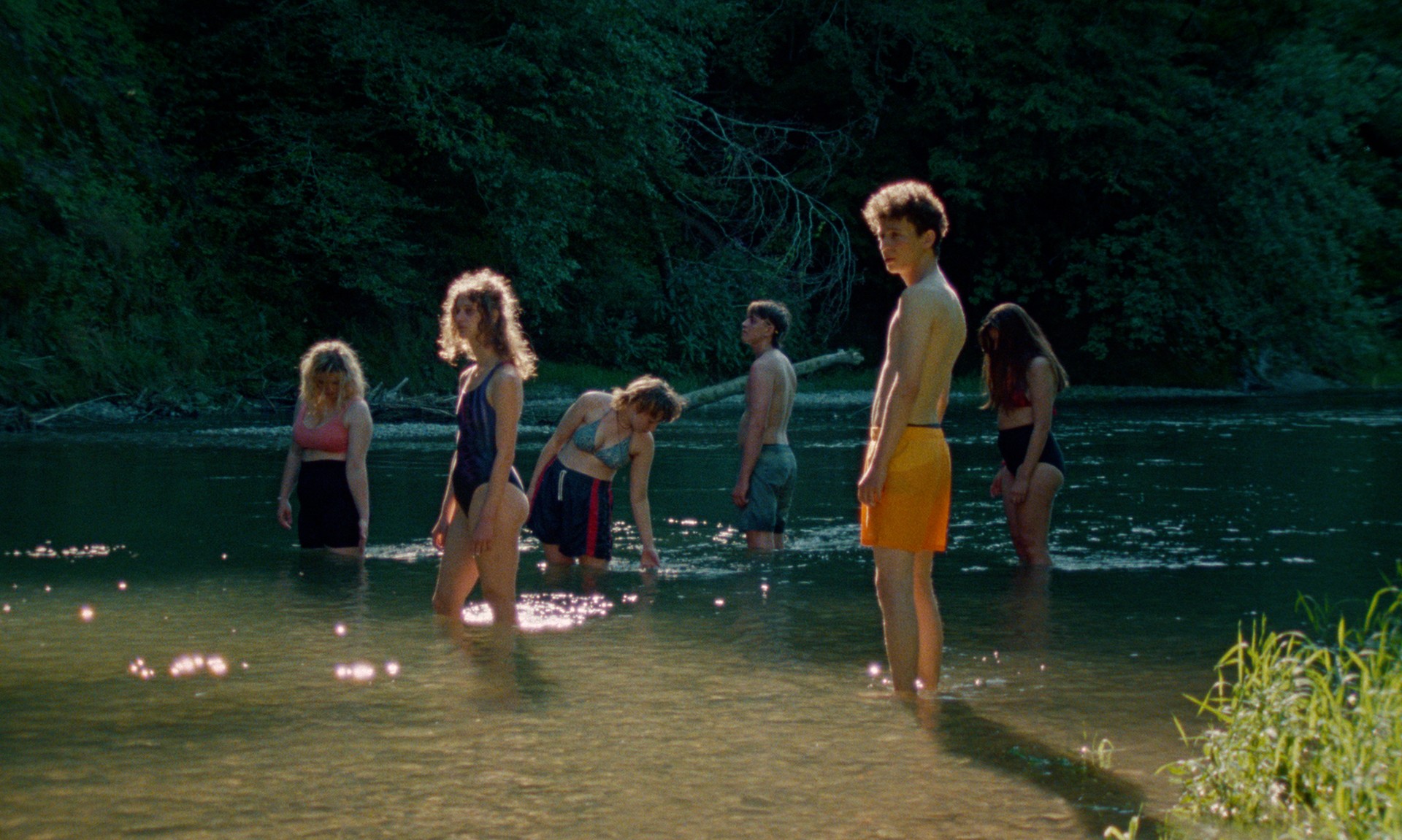 Bilder aus Der Fleck