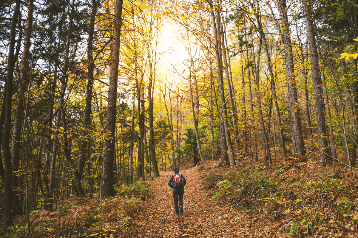 Herbstferien Bayern 2026: Goldene Tage für Erholung und Abenteuer
