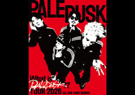 Paledusk