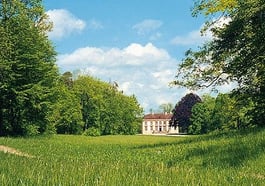 Bäume und Barock im Nymphenburger Löwental