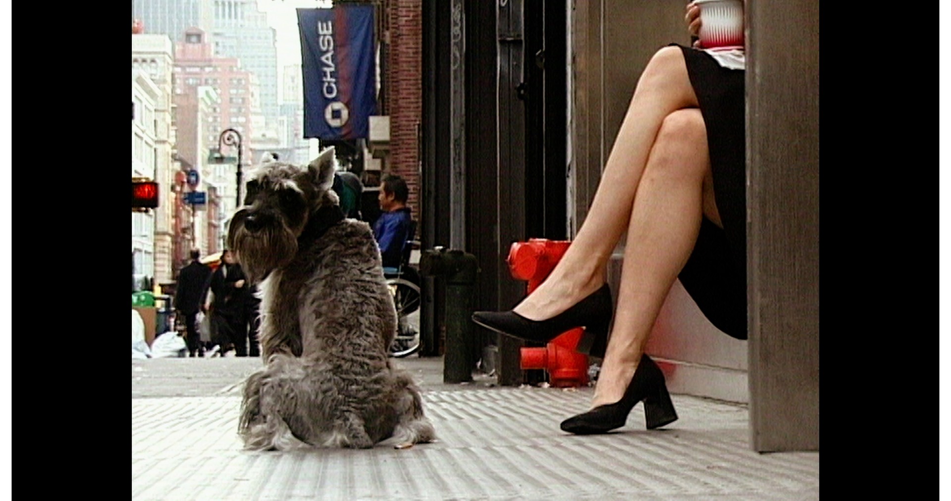 Bilder aus Walk don't walk