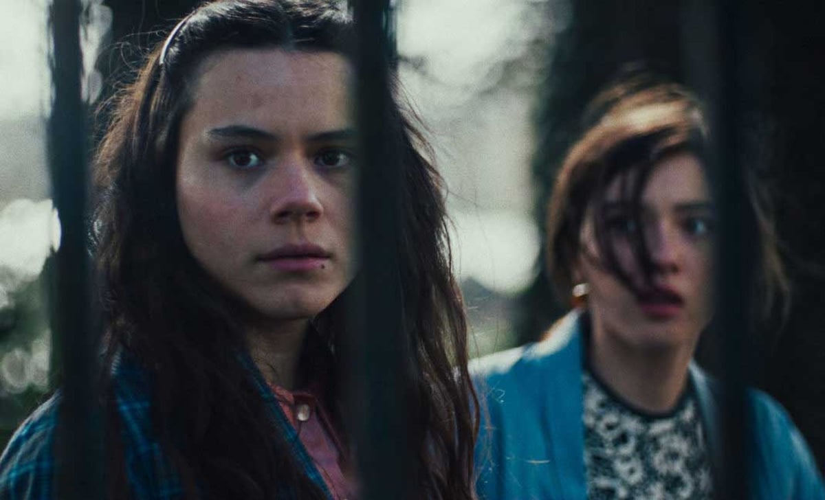 Meine letzte Nacht mit einem Vampir