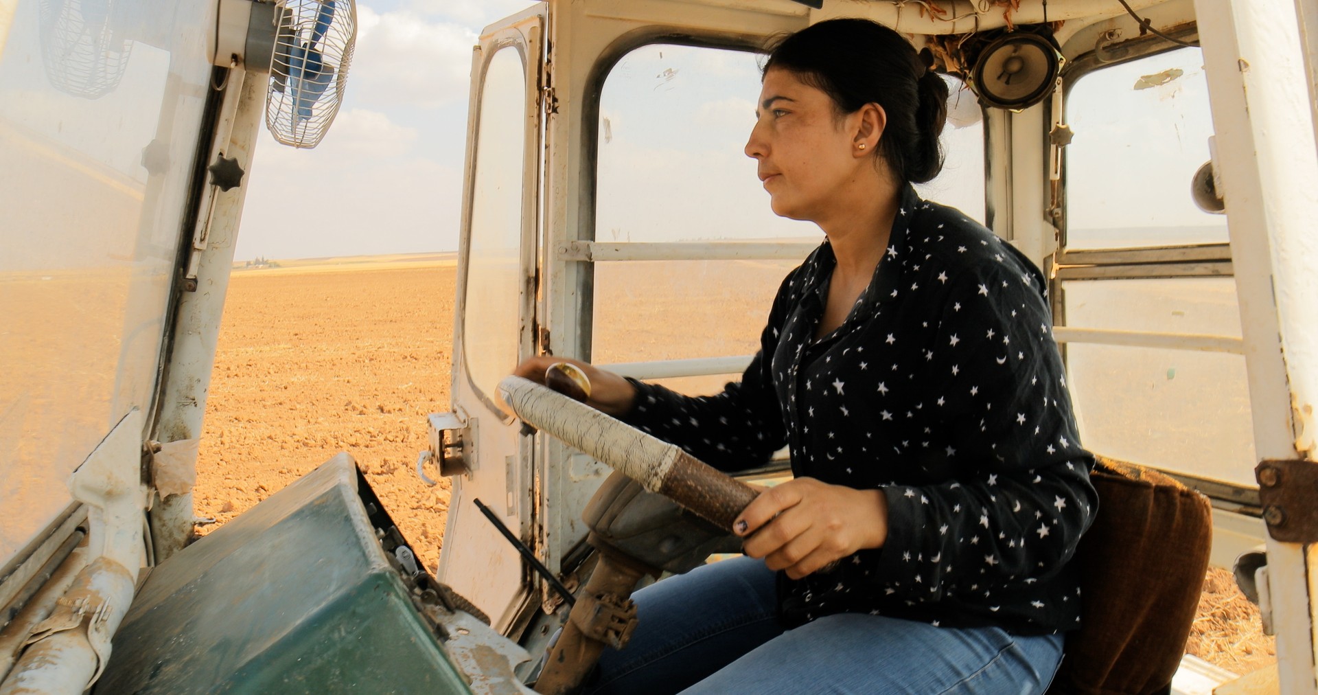 Bilder aus Trotz Alledem