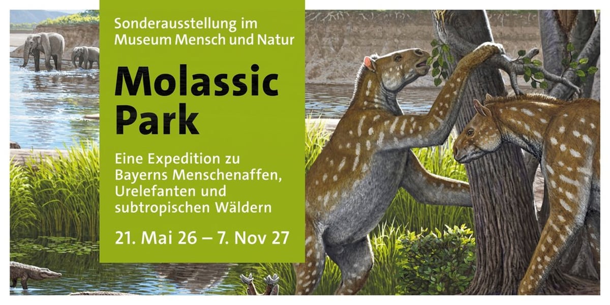 Molassic Park