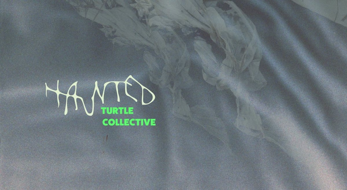 Romanwerkstatt mit Lara Wüster (Turtle Collective)