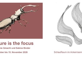 Stephanie Gmachl & Sabine Binder: nature is the focus