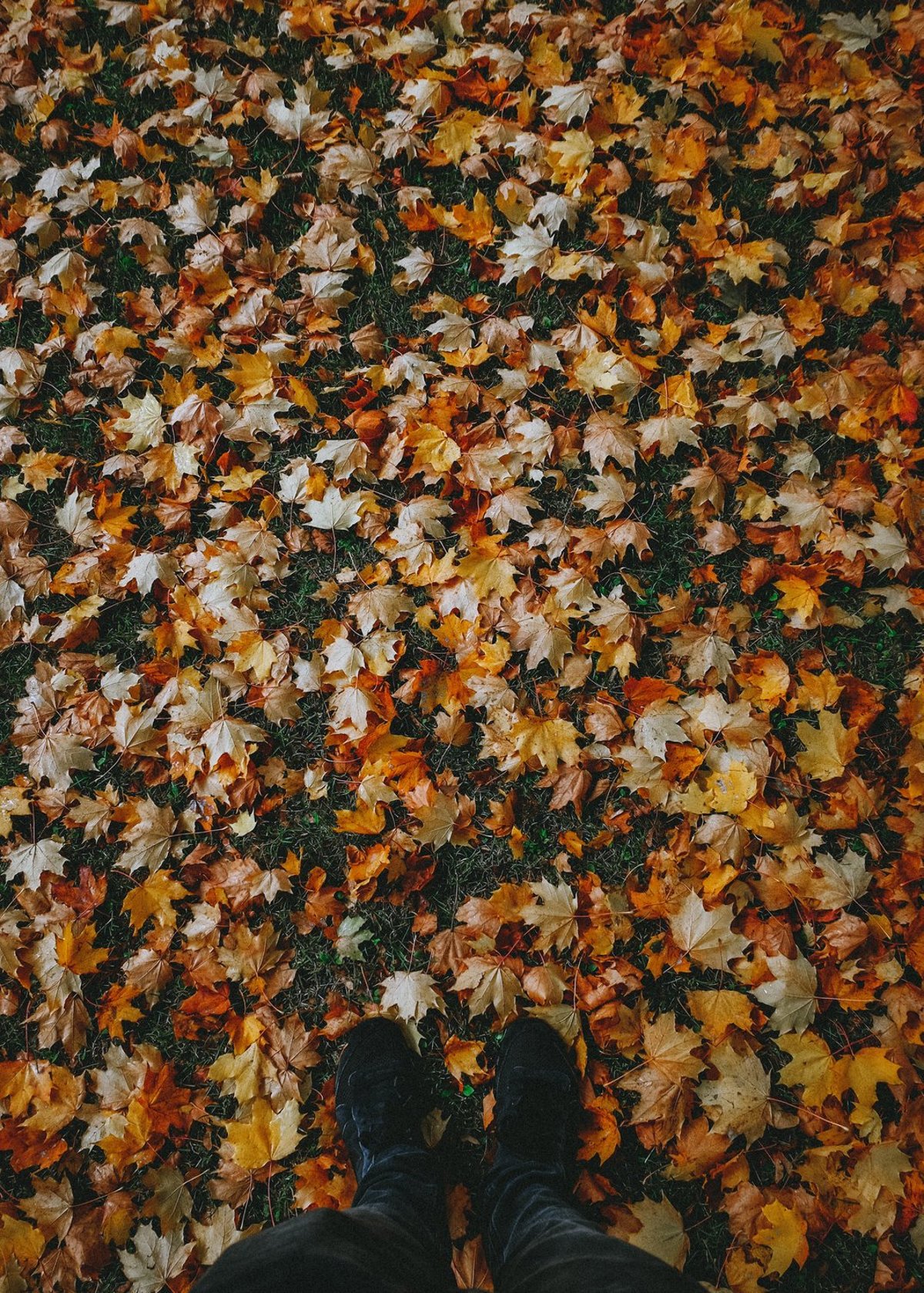 Herbst – Pilgern von Deisenhofen nach Kloster Schäftlarn