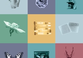 Tag der offenen Tür – LMU Biozentrum