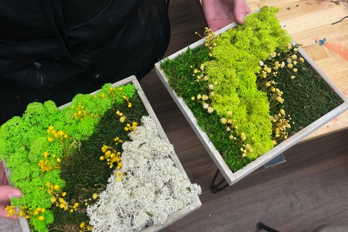 Moosbild Workshop – Gestalte 2 Bilder