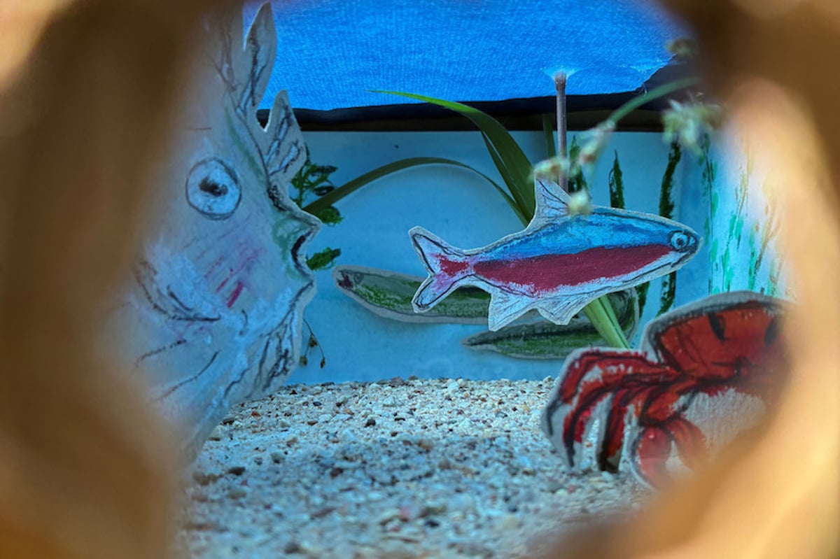 Unterwasserwelt