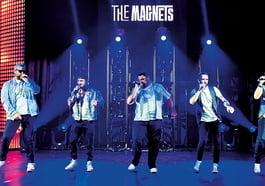 The Magnets