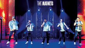 The Magnets