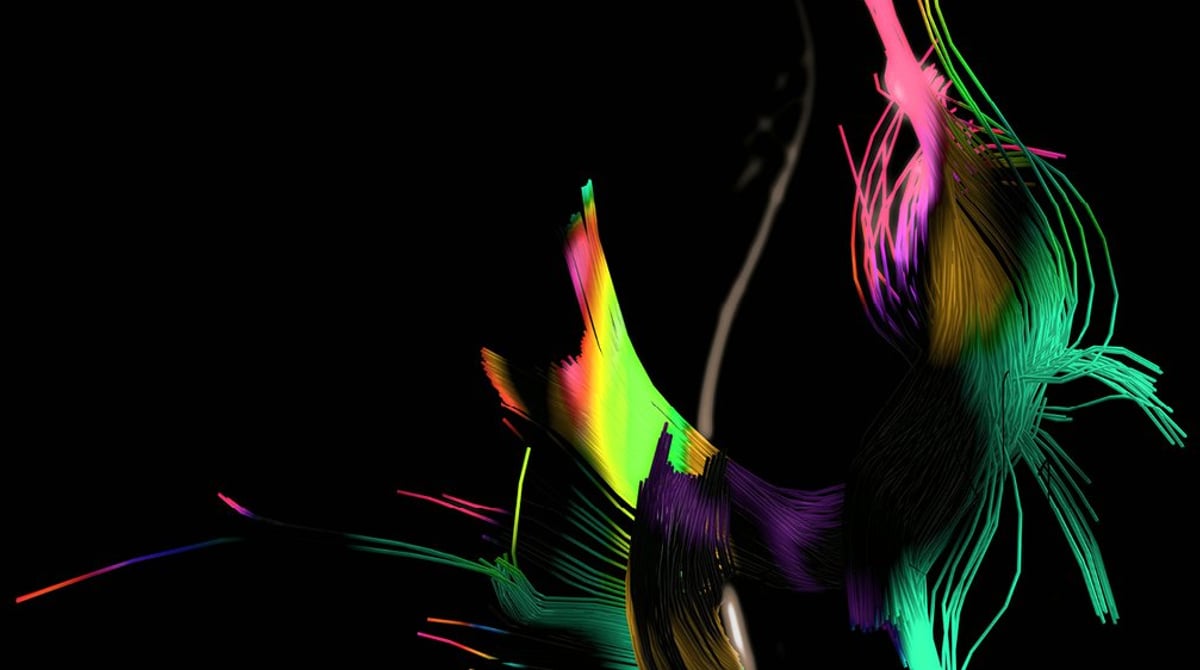 Nexus – Where Sound becomes Connection am 10.10. im Brainlab