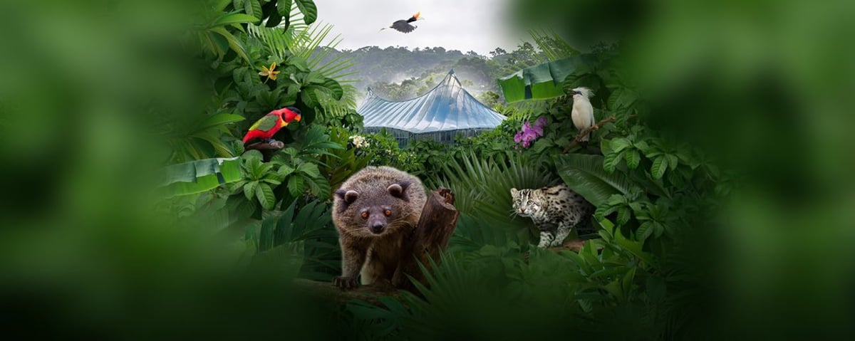 Große Wiedereröffnung der Dschungelwelt