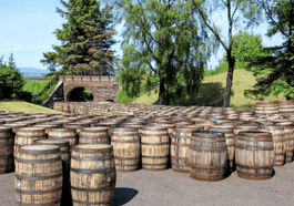 Whiskys picked by Experts