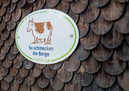 Zukunft Kochen
