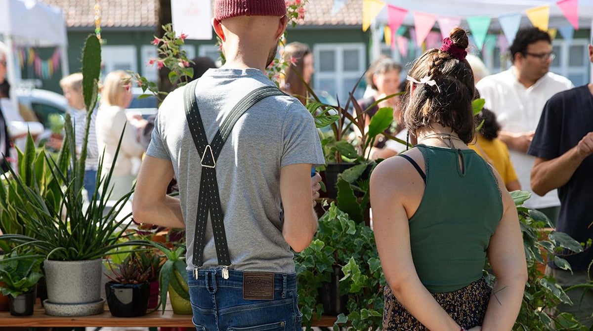 Pflanzen-Flohmarkt am 19.9. im Gartencenter Seebauer