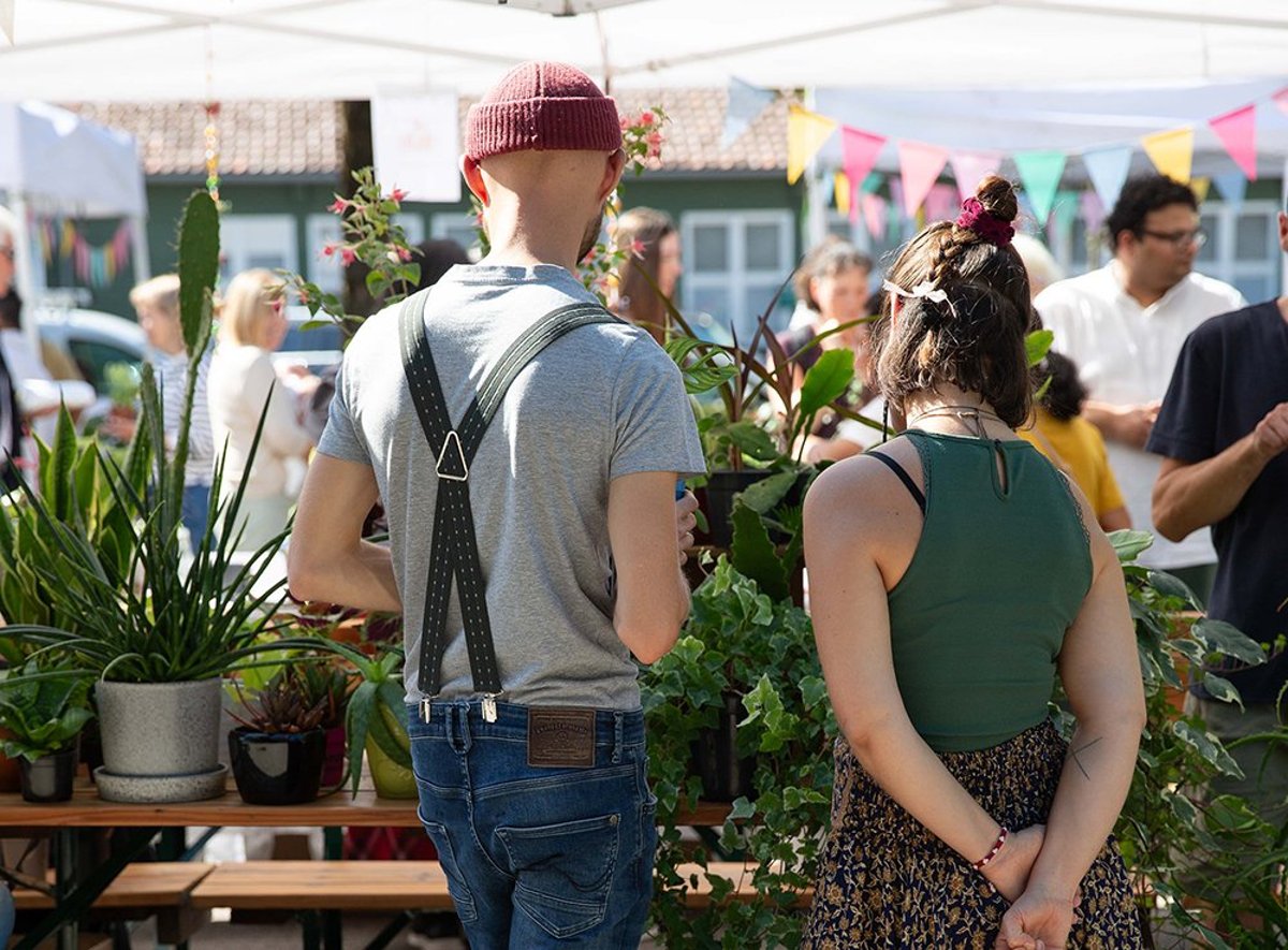 Pflanzen-Flohmarkt bei Seebauer