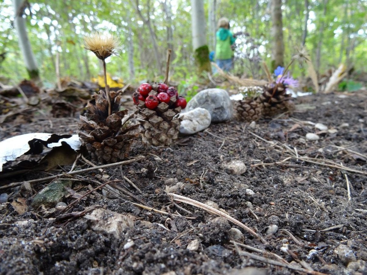 Raus in den Herbst – Ferientag in der Fröttmaninger Heide