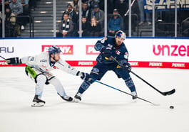 Red Bull München vs. Straubing Tigers