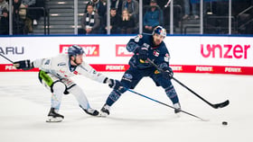 Red Bull München vs. Straubing Tigers