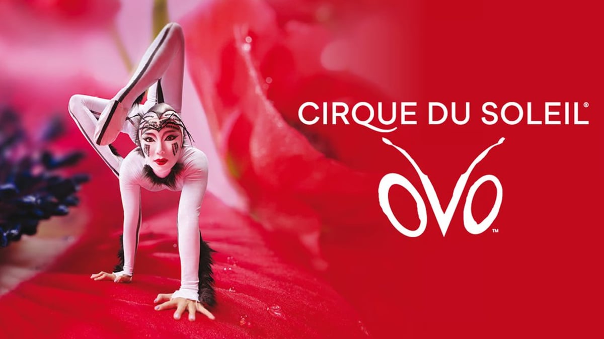 Cirque du Soleil – OVO