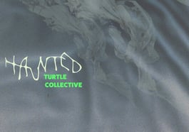Turtle Collective – haunted