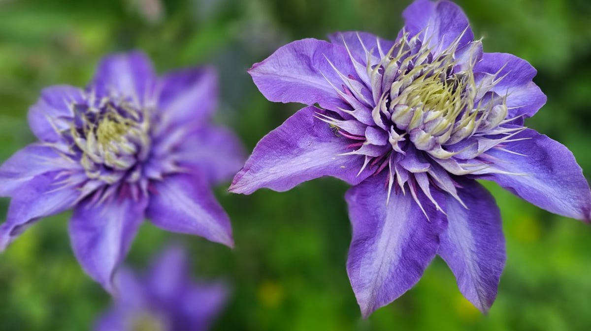 Märchen von der Natur in der Natur