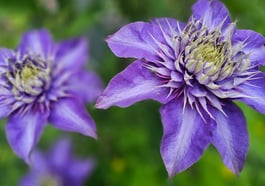 Märchen von der Natur in der Natur