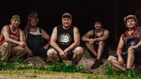 Steve ’n‘ Seagulls