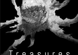 „Treasures“ von Franz Kraxenberger