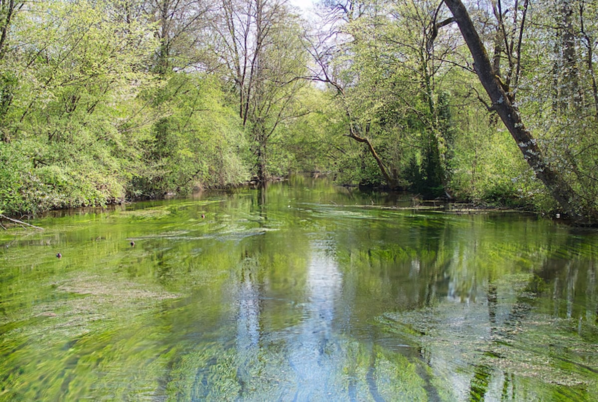 Literarischer Spaziergang an der Würm mit Sabine Zaplin und Tanja Weber – boox am Wasser