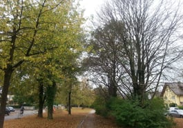Dem Herbst auf der Spur – eine naturkundliche Wanderung