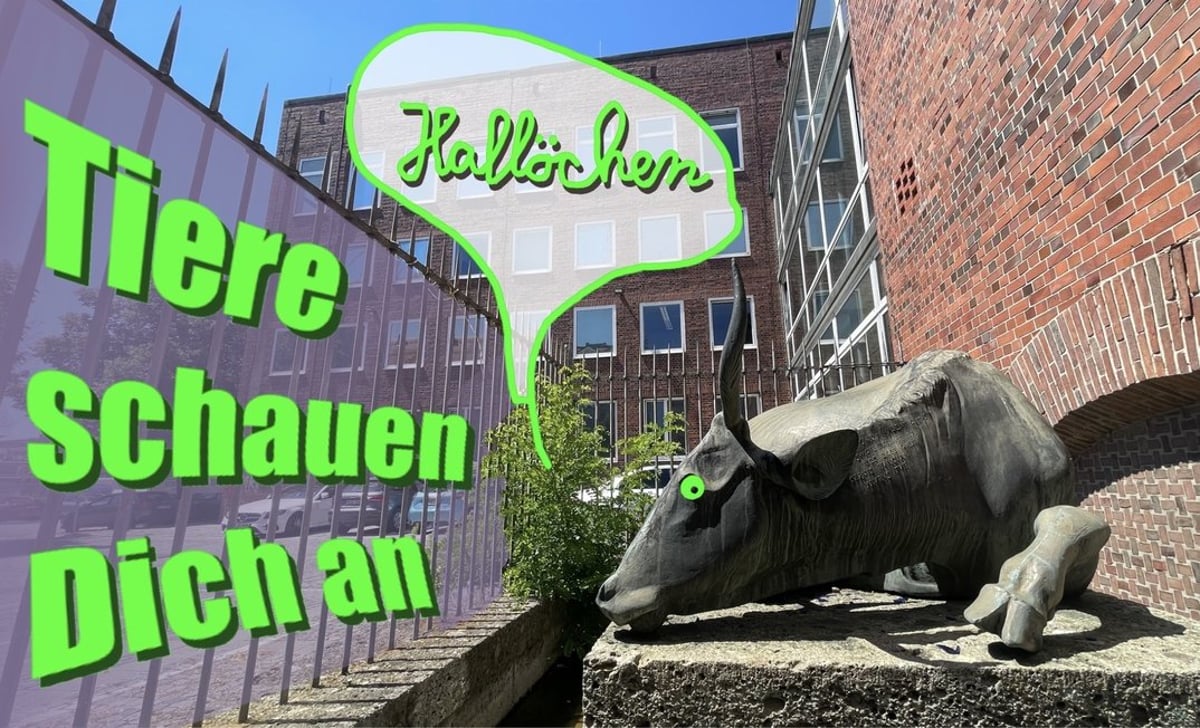 WelcÖme Zenettistraße!