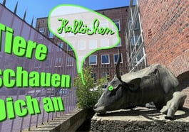 WelcÖme Zenettistraße!
