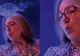 Singing Fish