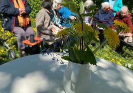 Aktionstag für Senior:innen am Ackermannbogen
