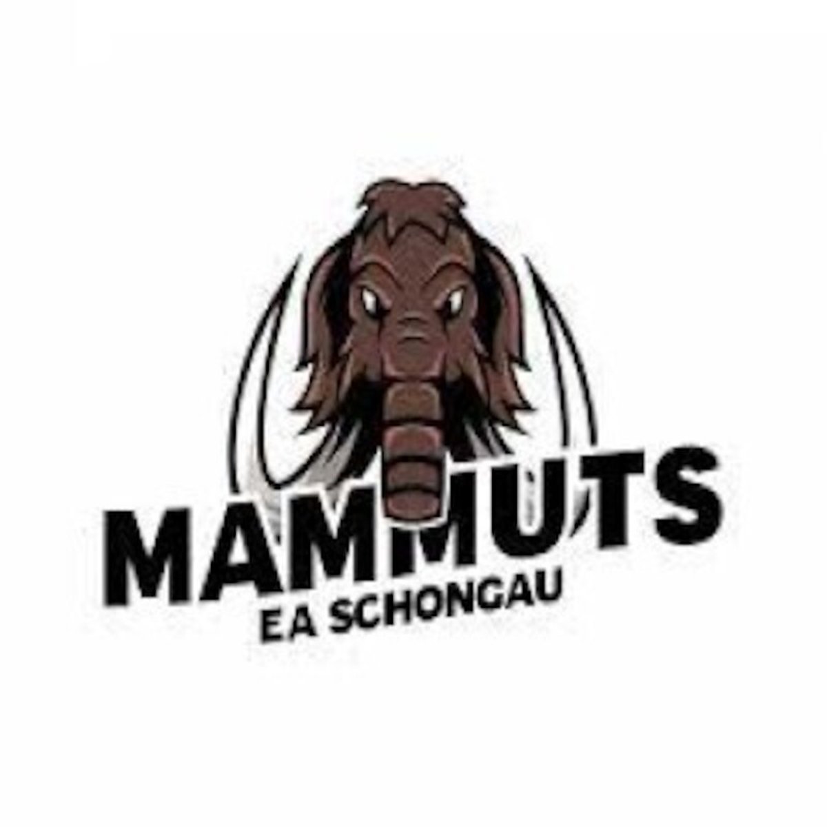 Eishockey: EHC Klostersee – EA im TSV Schongau