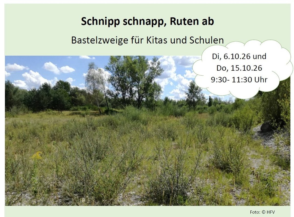 Schnipp schnapp, Ruten ab – Bastelzweige für Kitas und Schul