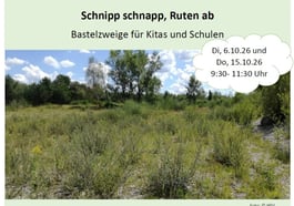 Schnipp schnapp, Ruten ab – Bastelzweige für Kitas und Schul