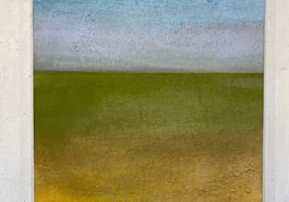 Stefan Rutishauser: Auf weiter Flur