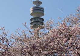 Olympische Bäume