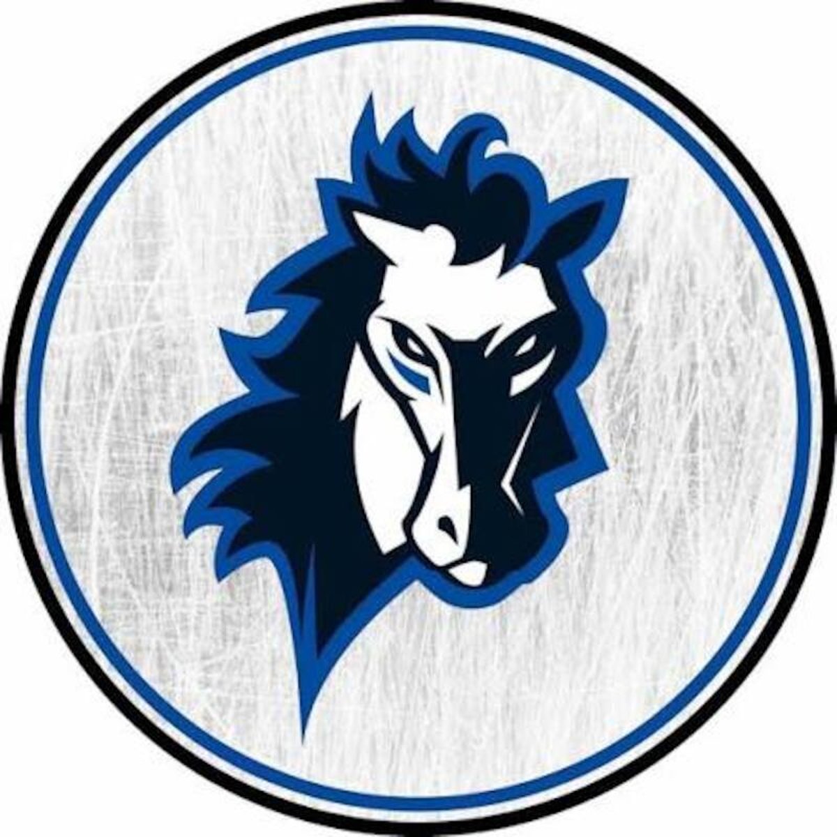 Erding Gladiators – Wipptal Broncos