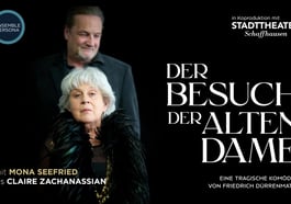 Der Besuch der alten Dame