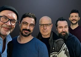 Die Kollegen